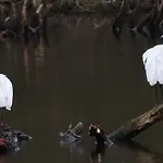 Casaluca Hellevoetsluis