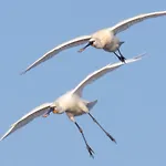 Casaluca Appartamento Hellevoetsluis