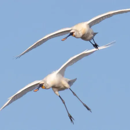 Casaluca Διαμέρισμα Hellevoetsluis