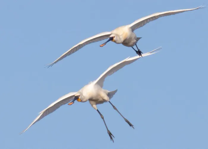 Casaluca Apartamento Hellevoetsluis