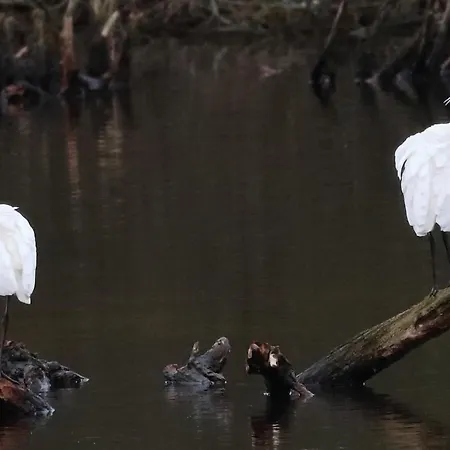 Casaluca 海勒武特斯莱斯