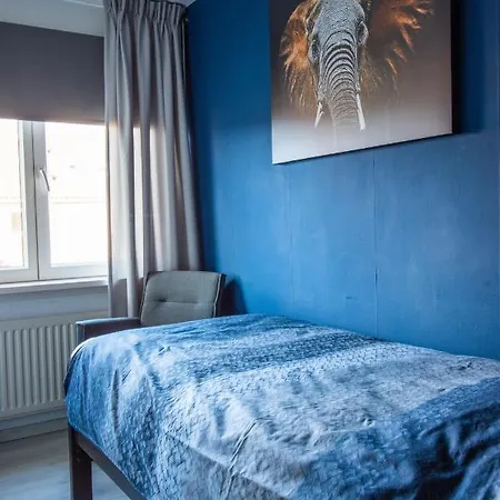 Appartement Casaluca